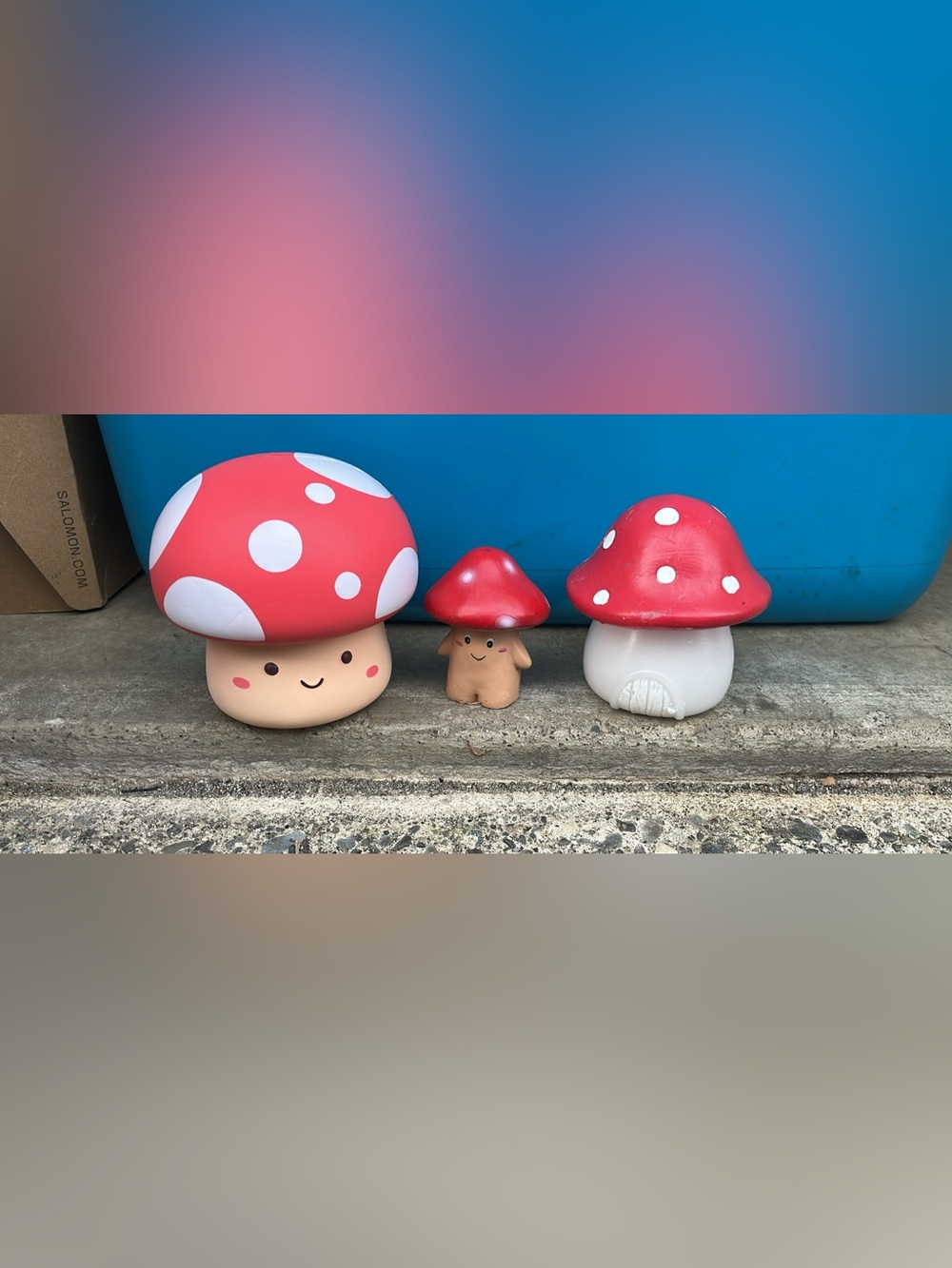 Cute Mushroom Home Accent and Giant  squishy !!